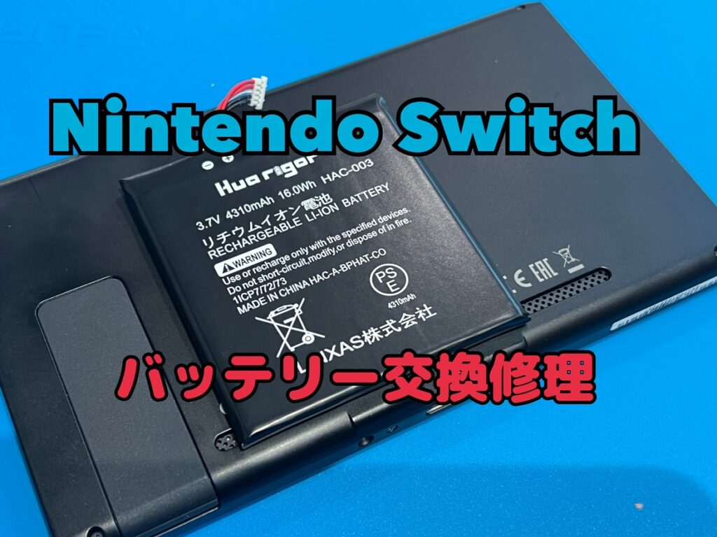 Nintendoのロゴから進まなくなってしまった！Nintendo switch