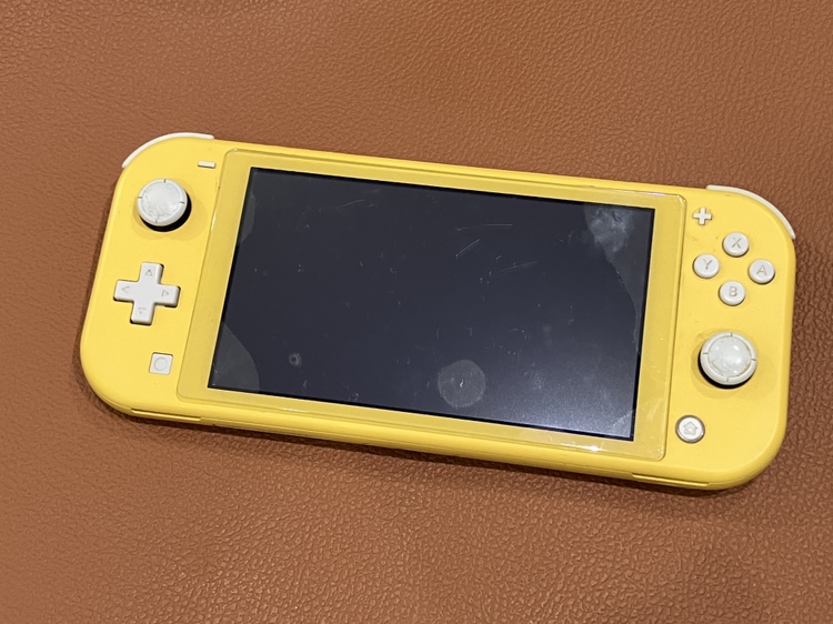 液晶不良が起こったNintendo Switch Lite（ニンテンドースイッチライト