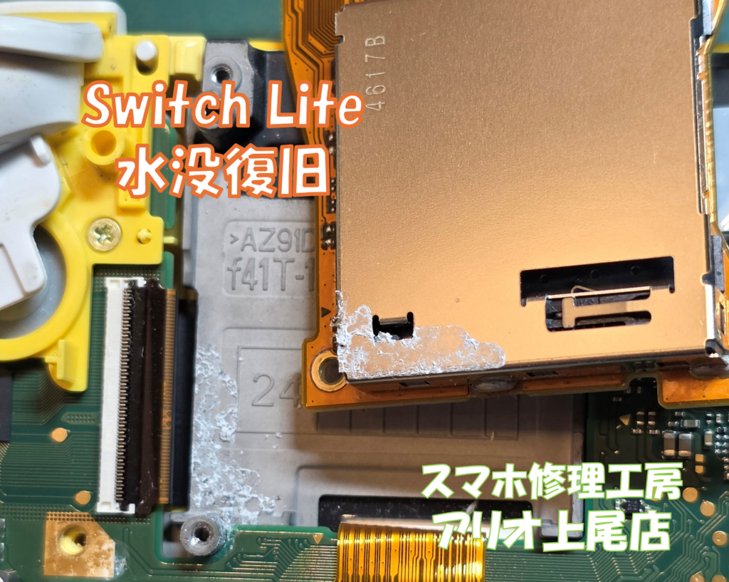Nintendo Switch Lite（ニンテンドースイッチ ライト）の水没などの